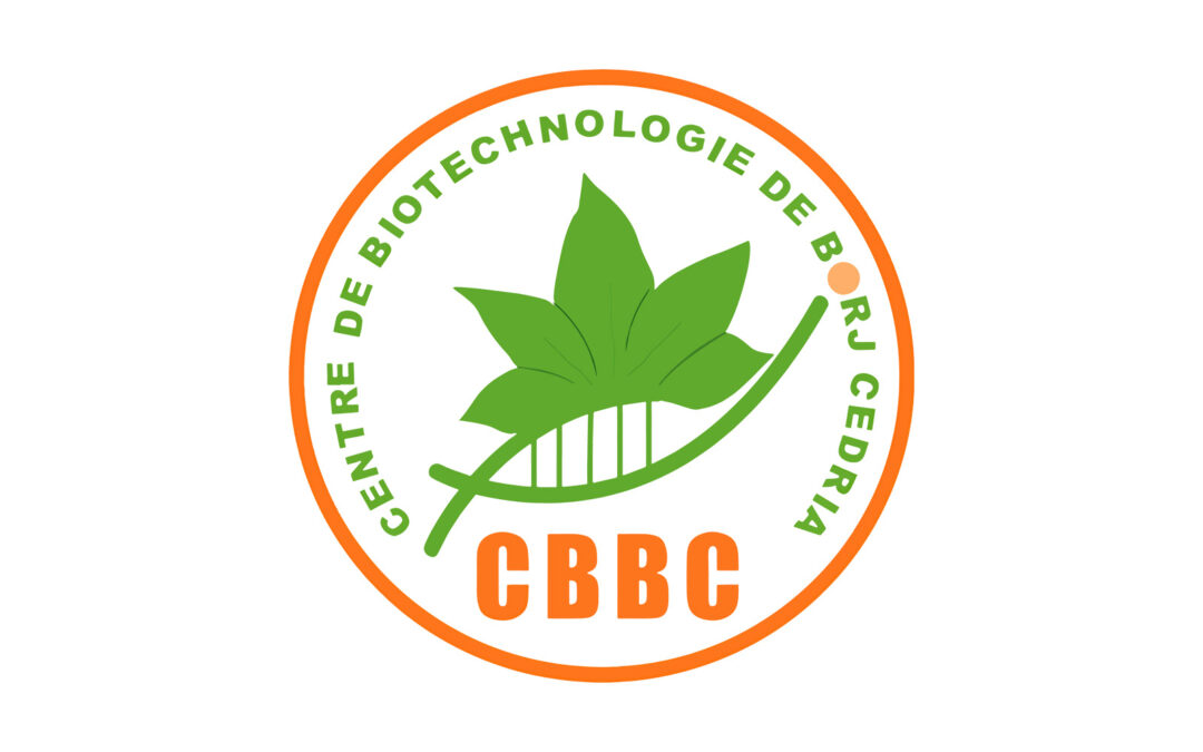 CBBC