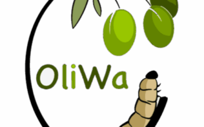 OLIWA Project at the “Game of Research” in Turin! 🇮🇹