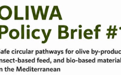 OLIWA Policy Brief #1: Safe Circular Pathways for Olive By-Products, Insect-Based Feed and Bio-Based Materials