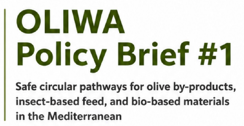 OLIWA Policy Brief #1: Safe Circular Pathways for Olive By-Products, Insect-Based Feed and Bio-Based Materials